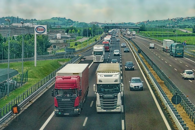 Vehicle Fleet Management