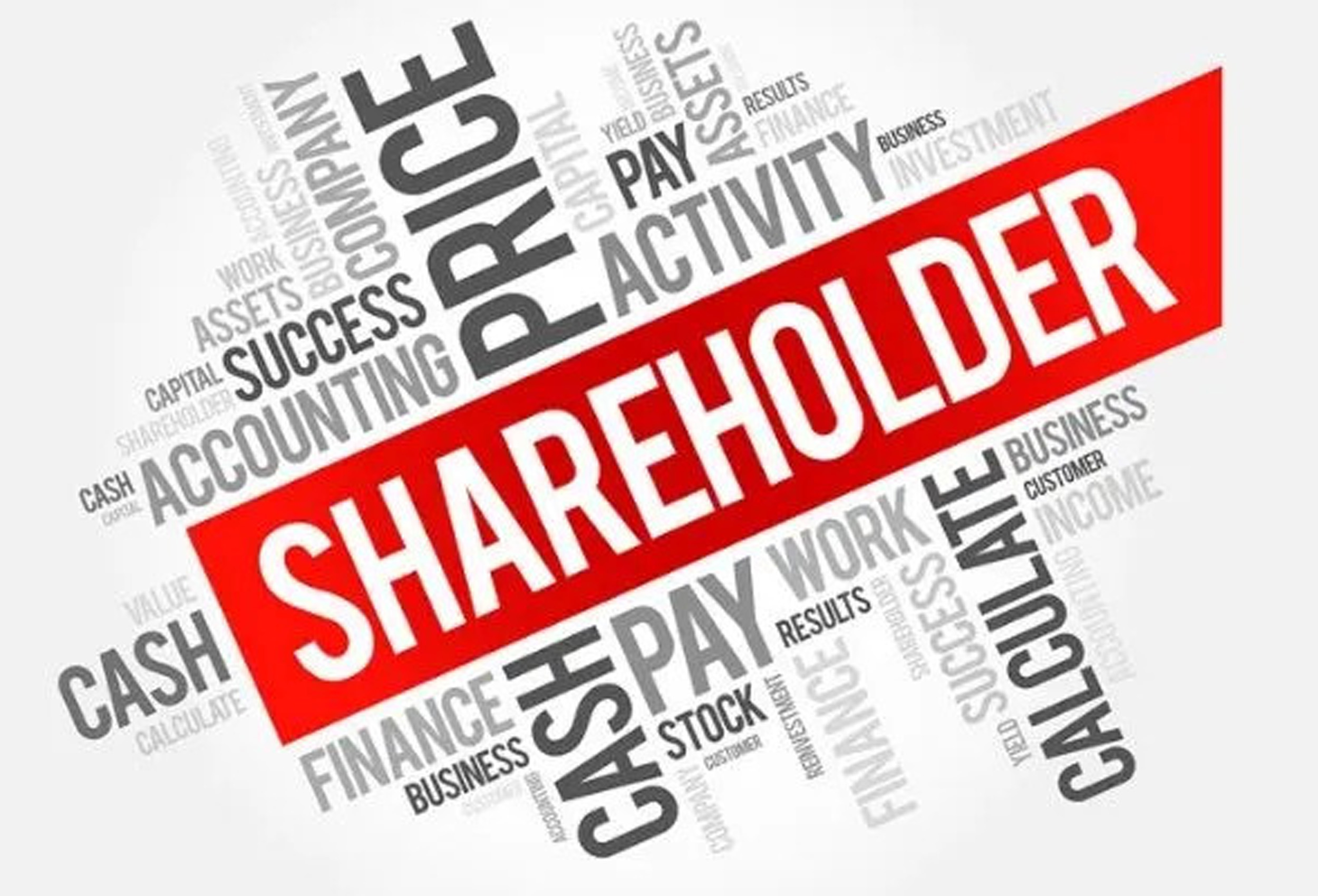Responsibilities And Entitlements Of Shareholders